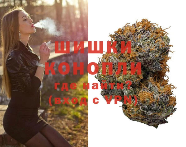 мдпв Верея