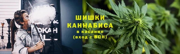 мдпв Верея