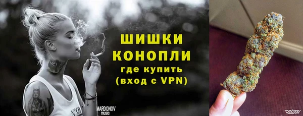 мдпв Верея