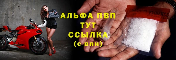 прущие грибы Верхнеуральск
