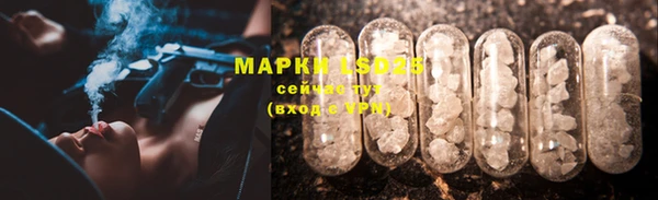 прущие грибы Верхнеуральск