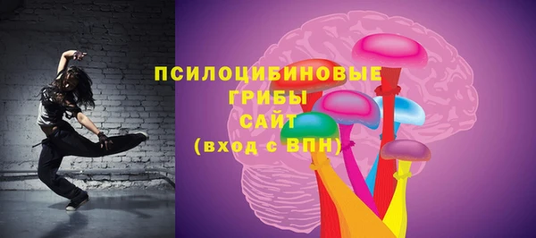 прущие грибы Верхнеуральск