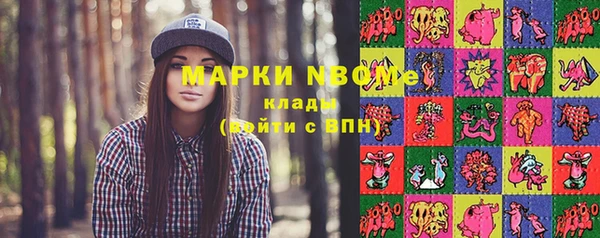 мдпв Верея