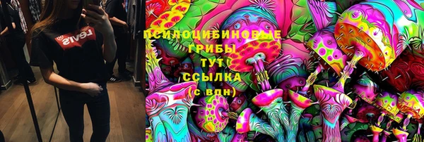 прущие грибы Верхнеуральск