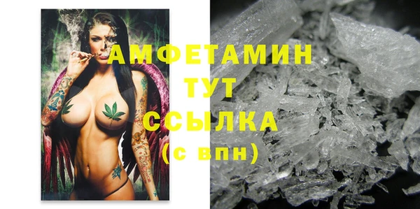 мдпв Верея