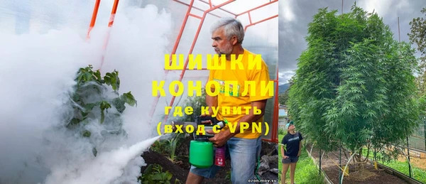 прущие грибы Верхнеуральск