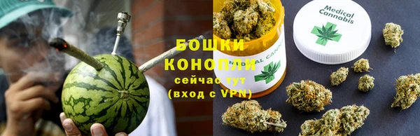 прущие грибы Верхнеуральск