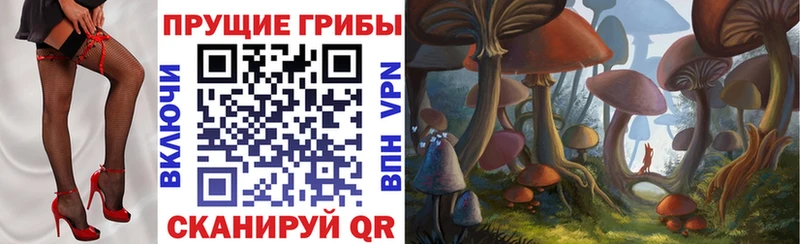 Купить закладки  Лаишево  Галлюциногенные грибы Psilocybine cubensis 